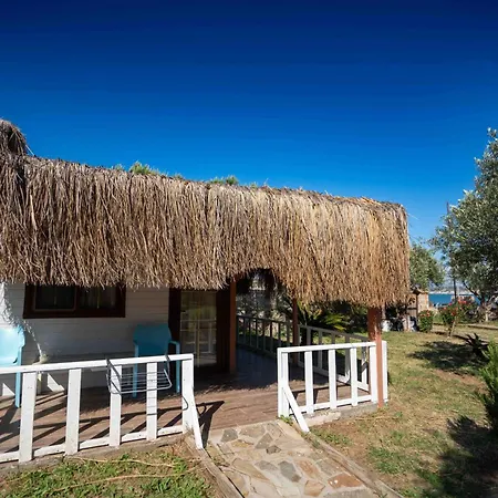 Zoi Seaside Cunda Hotel Ayvalı
