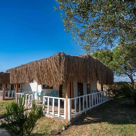 Zoi Seaside Cunda Hotel